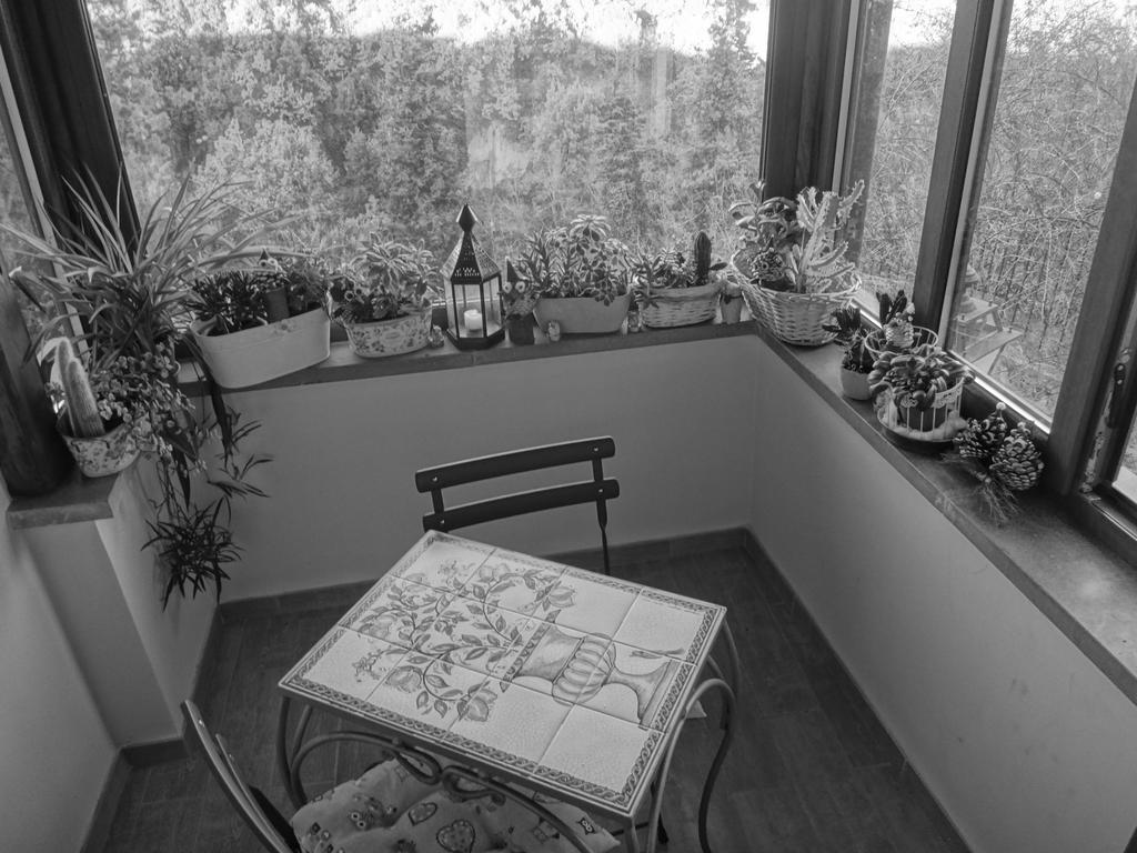 La Casetta Della Nonna Баньореджо Номер фото